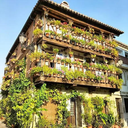 Apartment El Vado
